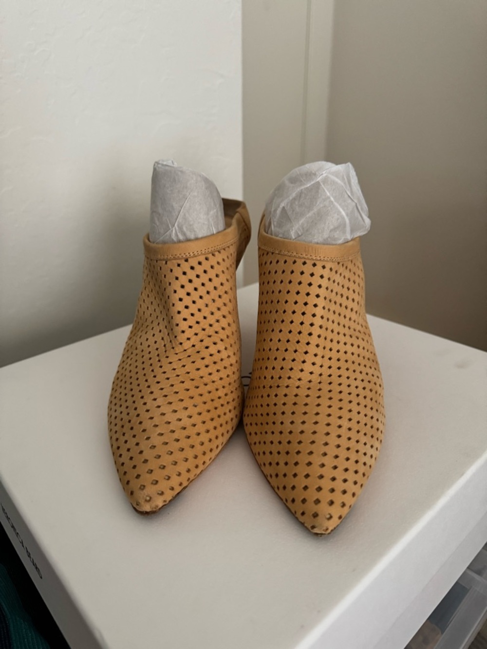 Loeffler Randall Perforated Pointed-Toe Mule in Tan